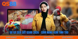 Đá gà cựa sắt Qs88 2026 - Cẩm nang xem tỉnh táo